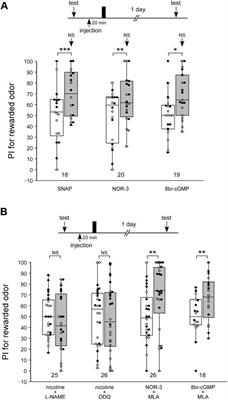 Critical roles of nicotinic acetylcholine receptors in olfactory memory formation and retrieval in crickets
